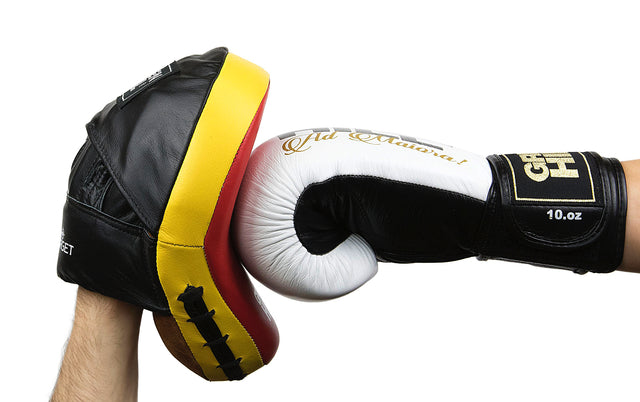 Focus Mitt “Target “
