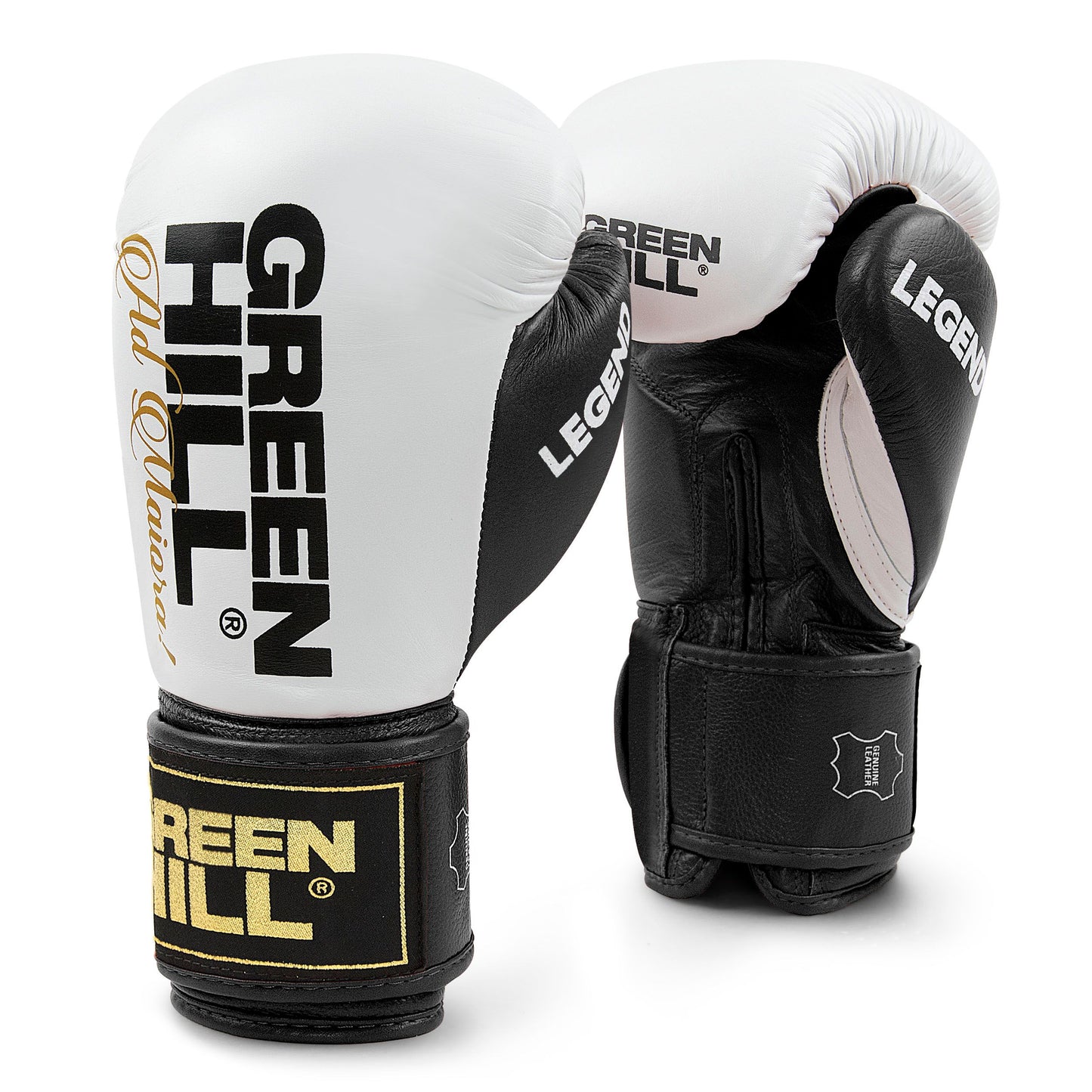 LEGEND Gloves
