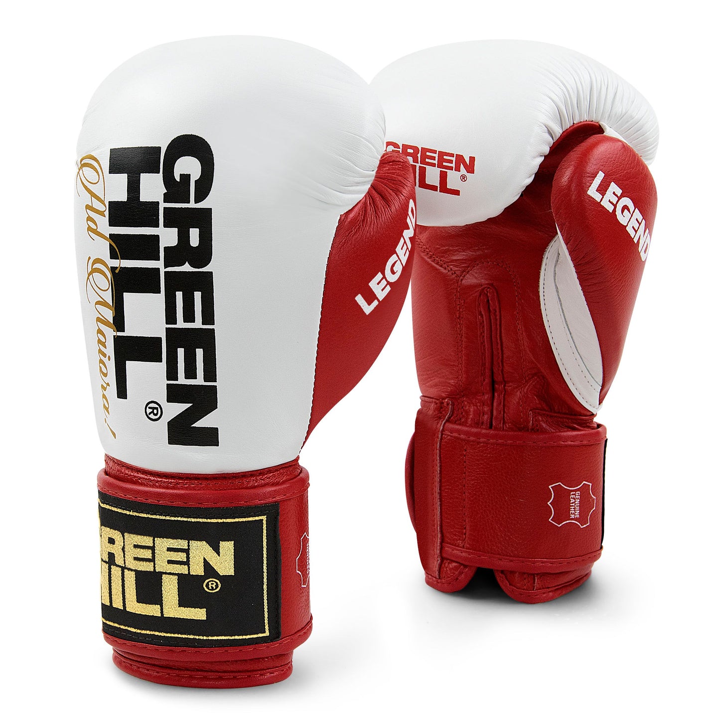 LEGEND Gloves