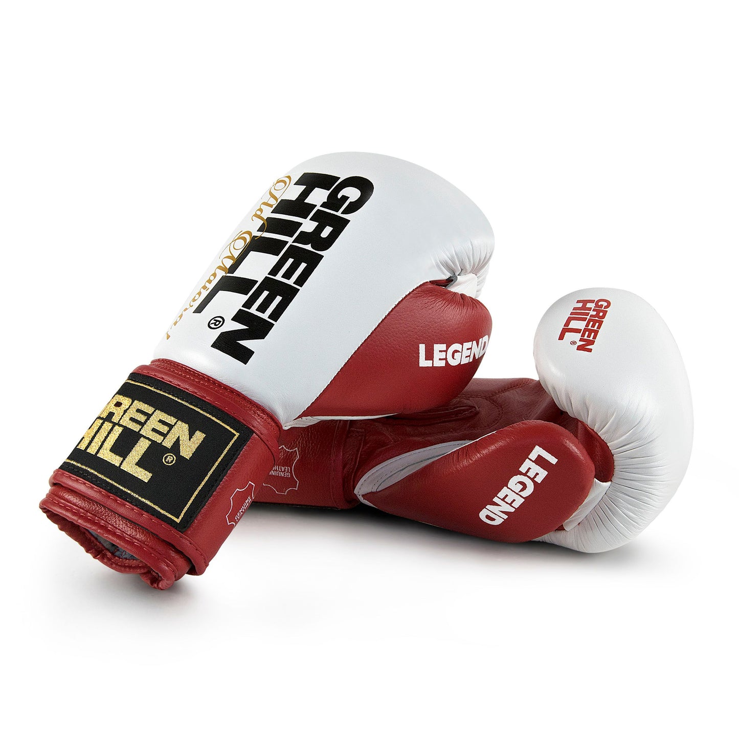 LEGEND Gloves