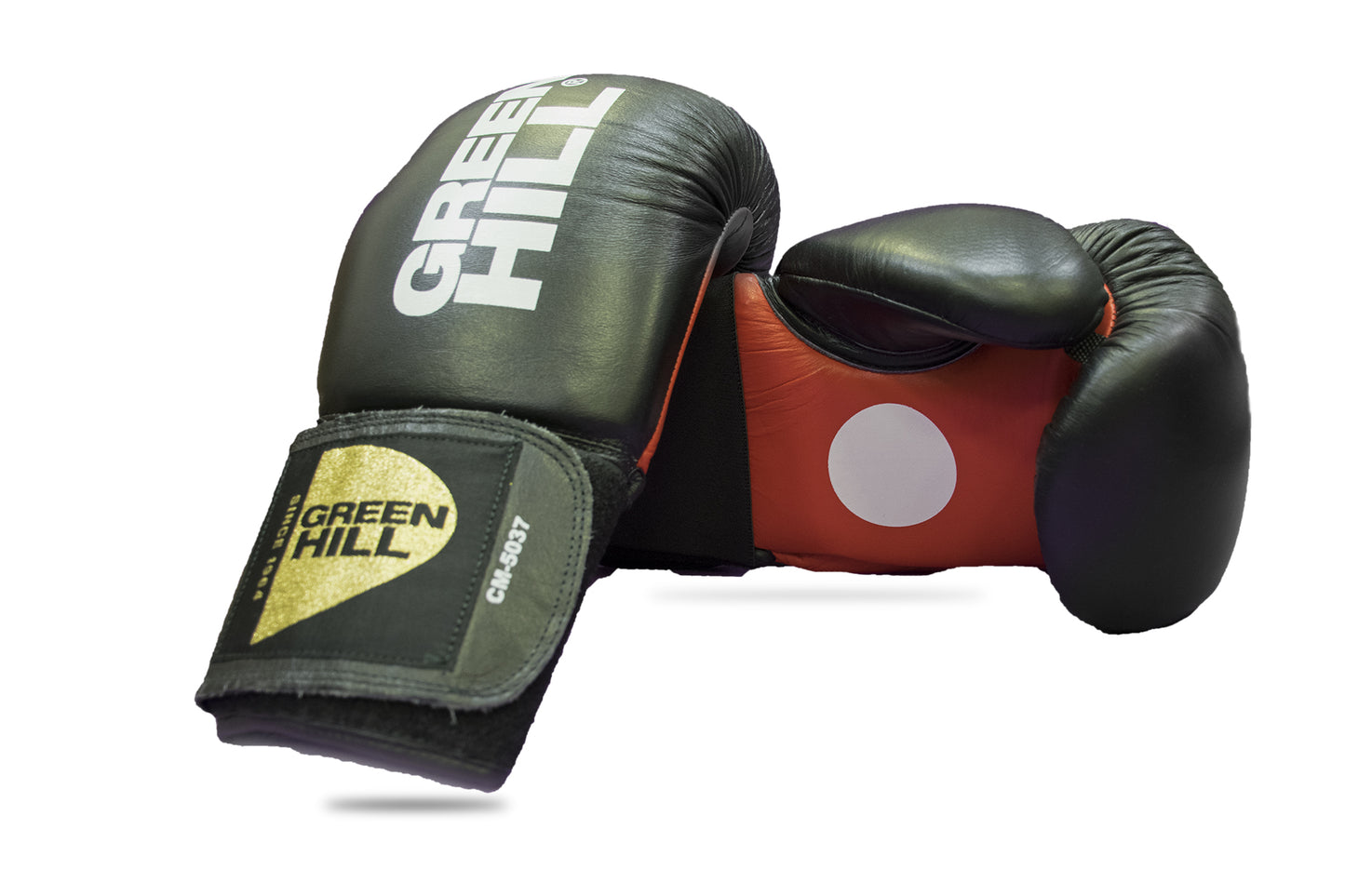 Coaching Mitt. “Orion”