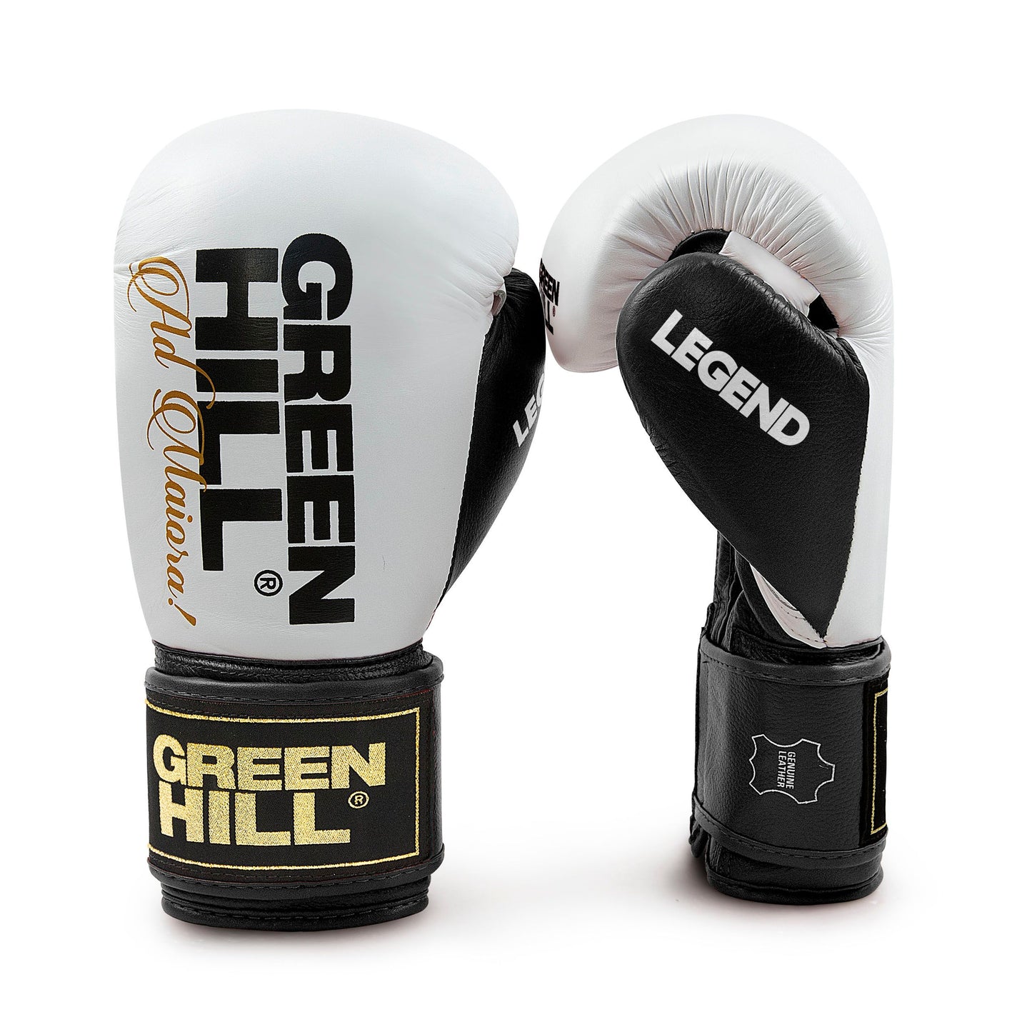 LEGEND Gloves