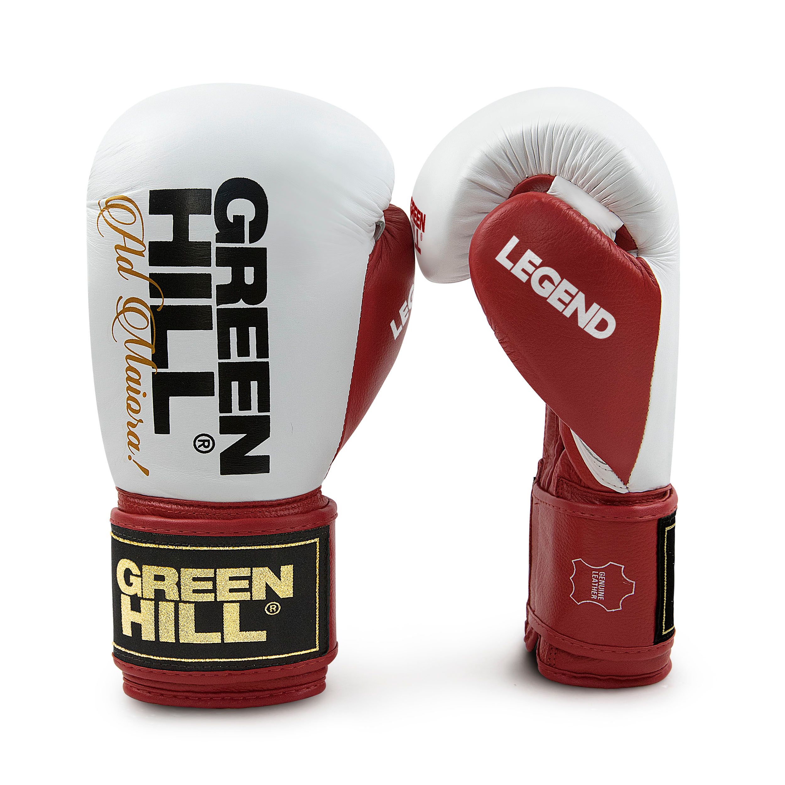 LEGEND Gloves