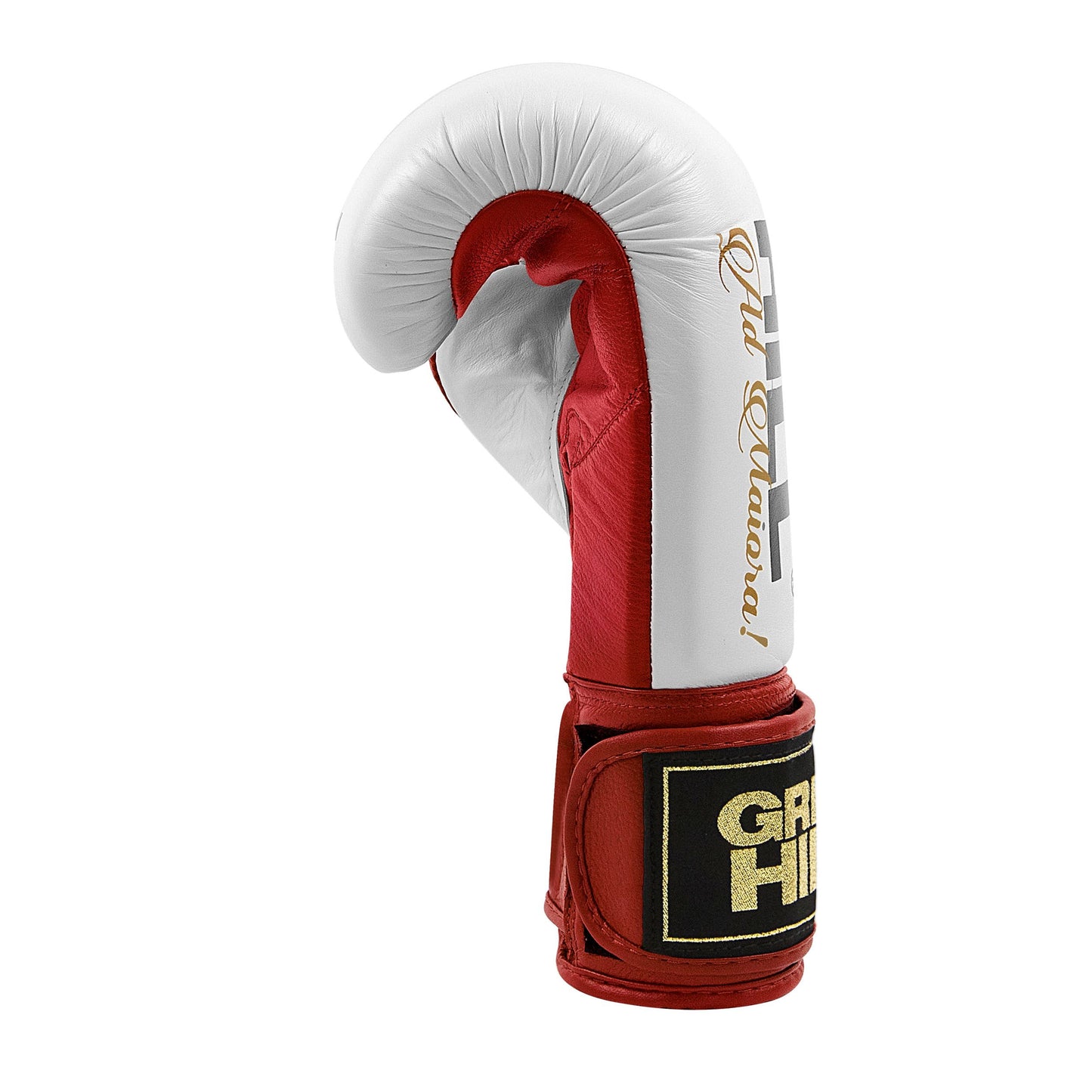 Boxing Gloves “LEGEND”