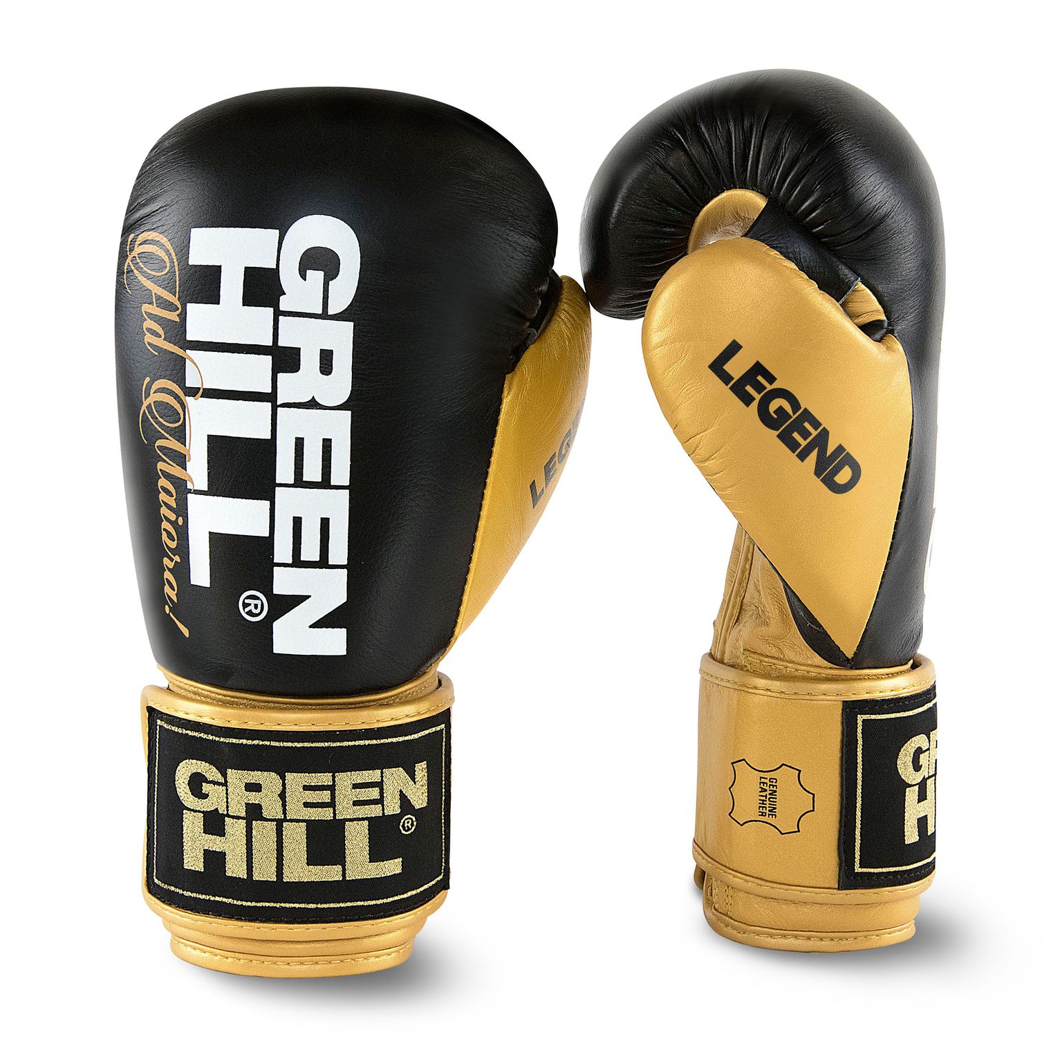 LEGEND Gloves