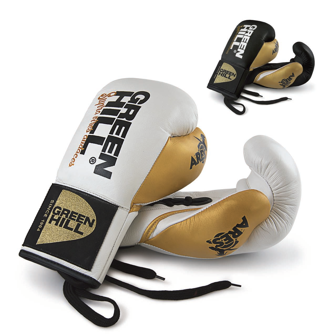 Boxing Gloves “ARES”